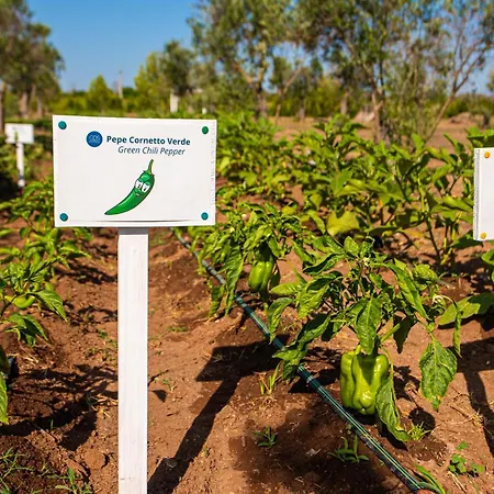 Relais Masseria Le Cesine - Cdshotels Resort Vernole