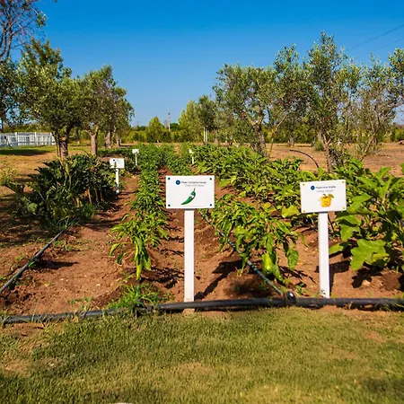 אתר נופש Relais Masseria Le Cesine - Cdshotels