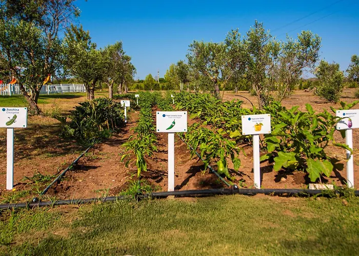 Resort Relais Masseria Le Cesine - Cdshotels