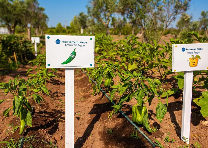 Relais Masseria Le Cesine - Cdshotels Resort Vernole